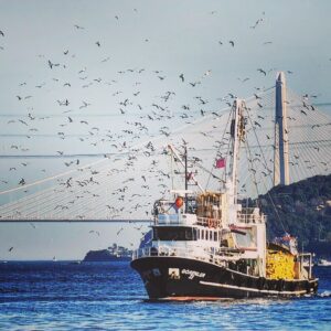 İstanbul Boğazı